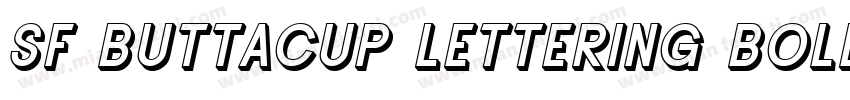 SF Buttacup Lettering Bold Oblique字体转换